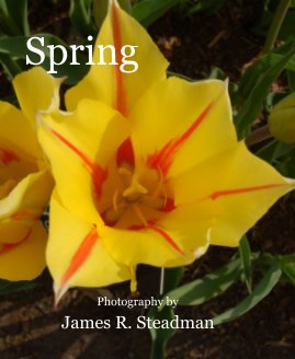 Spring book cover