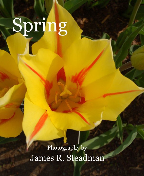 View Spring by James R. Steadman