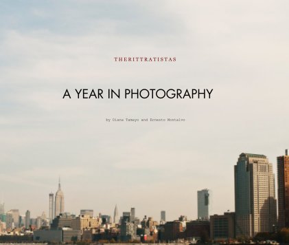 A YEAR IN PHOTOGRAPHY book cover