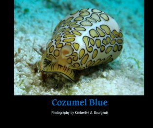 Cozumel Blue book cover