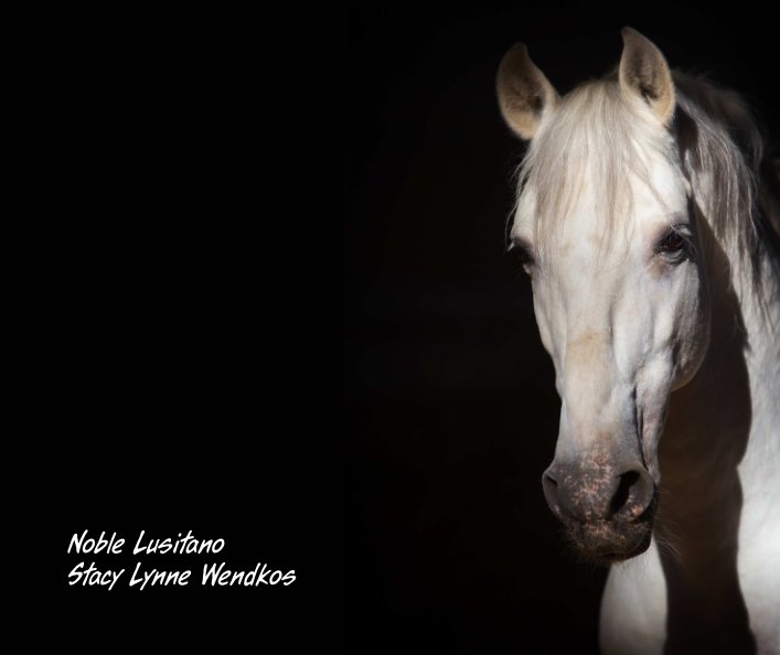 View Noble Lusitano by Stacy Lynne Wendkos