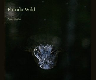 Florida Wild book cover