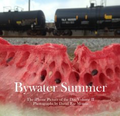 Bywater Summer book cover