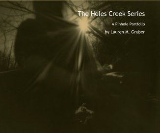 The Holes Creek Series book cover