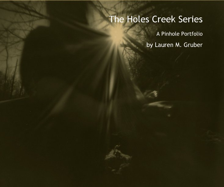 Ver The Holes Creek Series por Lauren M. Gruber