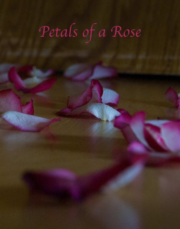 View Petals of a Rose by Eliot Oppenheimer