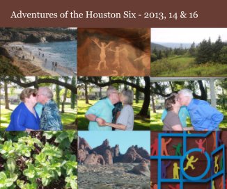 Adventures of the Houston Six - 2013, 14 & 16 book cover