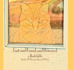 Lost and Found and Returned book cover