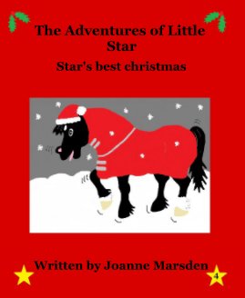 The Adventures of Little Star book cover