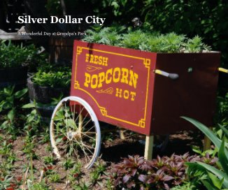 Silver Dollar City book cover