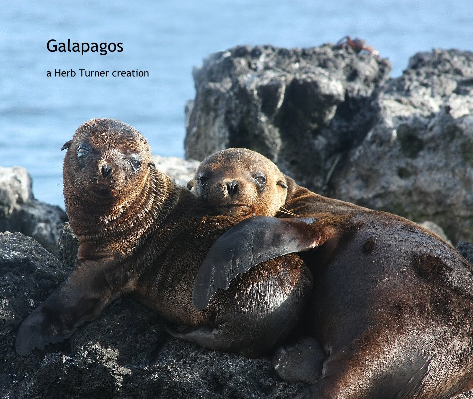 Ver Galapagos a Herb Turner creation por a Herb Turner creation