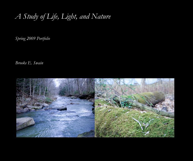 Ver A Study of Life, Light, and Nature por Brooke E. Swain