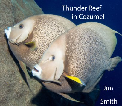 Thunder Reef in Cozumel book cover