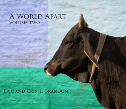 A World Apart book cover
