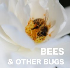 BEES & OTHER BUGS book cover