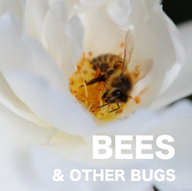 BEES & OTHER BUGS book cover