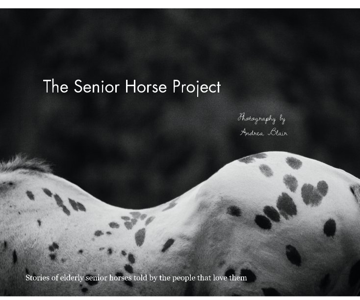 View The Senior Horse Project by Photography by Andrea Blair