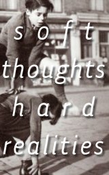 Soft Thoughts. Hard Realities. 1 book cover