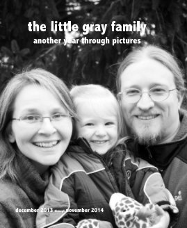 the little gray family another year through pictures book cover