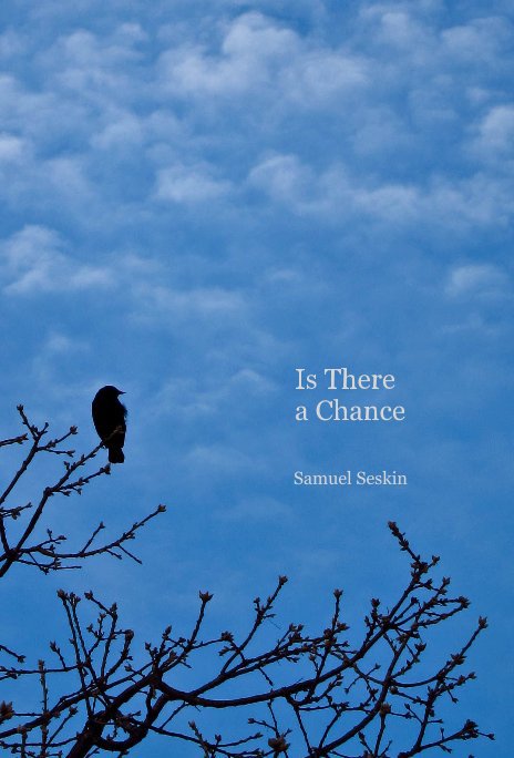 View Is There a Chance by Samuel Seskin