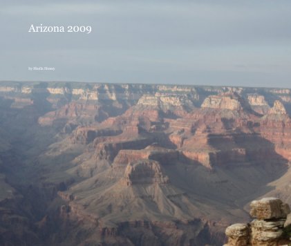Arizona 2009 book cover