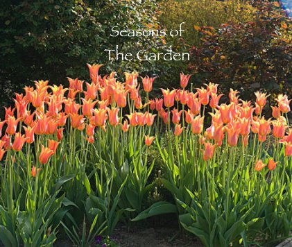 Seasons of The Garden book cover