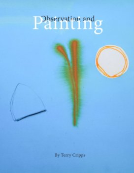 Paintings and Observations book cover