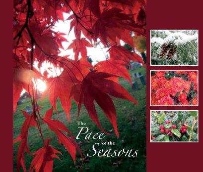 The Pace of the Seasons book cover
