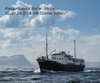Pilegrimsseilas Bodø - Nidaros 25.-29.juli 2014. MS Gamle Salten book cover