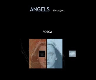 ANGELS fly-project book cover