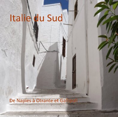 Italie du Sud book cover