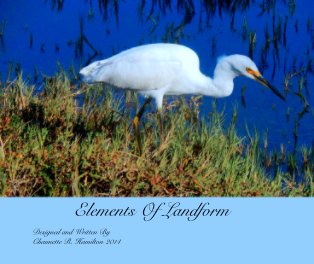 Elements Of Landform book cover