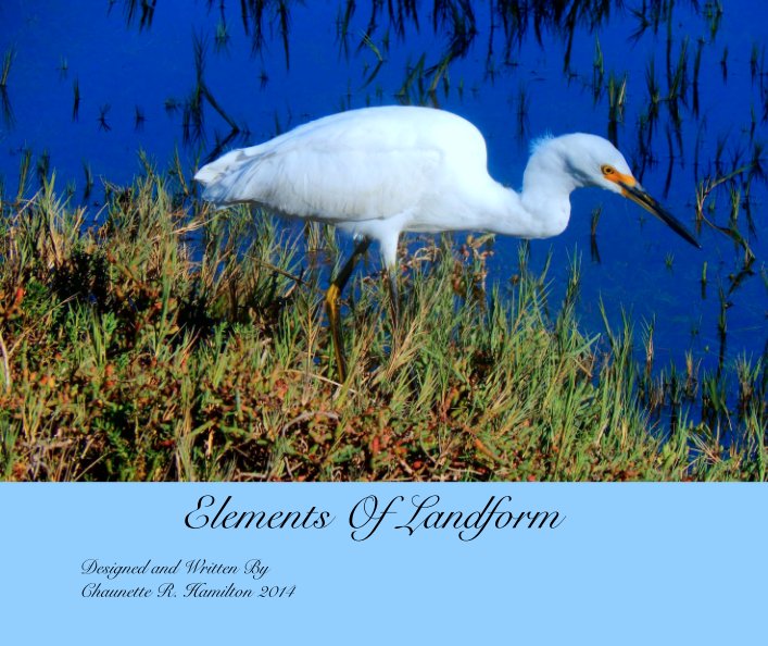 Ver Elements Of Landform por Designed and Written By, Chaunette R. Hamilton 2014
