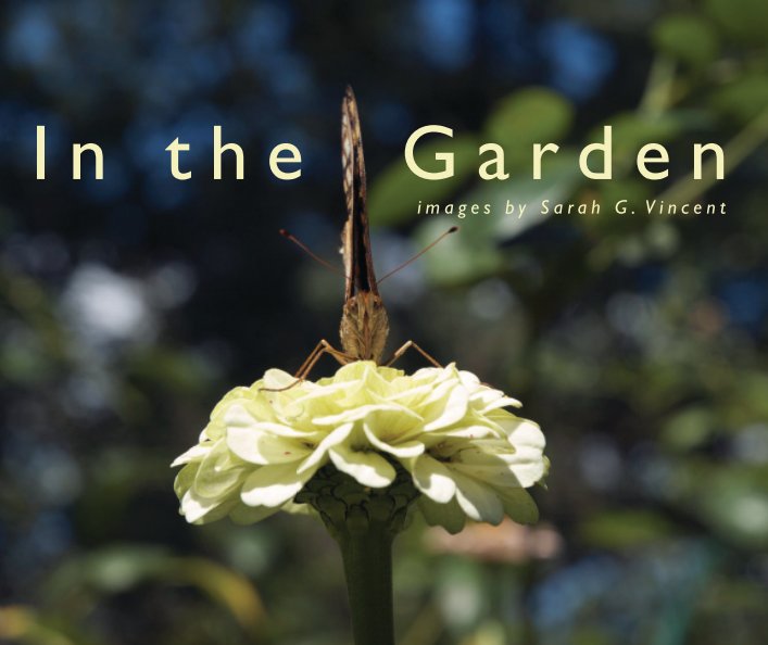 Ver In the Garden por S G Vincent