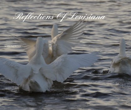 Reflections Of Louisiana book cover