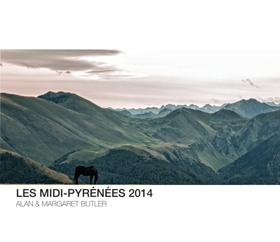 View Les Midi Pyrenees by Alan Butler