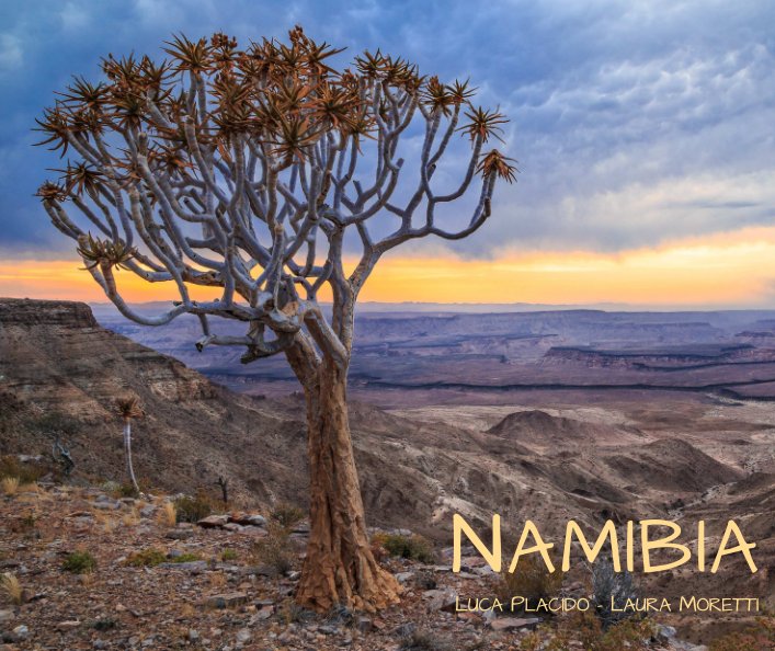 View Namibia by Luca Placido - Laura Moretti