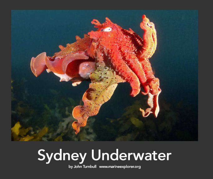 View Sydney Underwater by John Turnbull