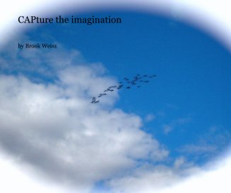 CAPture the imagination book cover