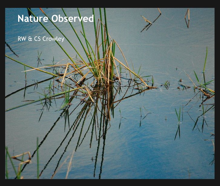 View Nature Observed by RW & CS Crowley