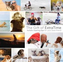 The Gift Of Extra Time book cover
