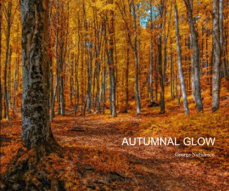 AUTUMNAL GLOW book cover