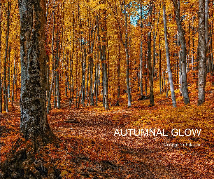 View AUTUMNAL GLOW by George Nutulescu
