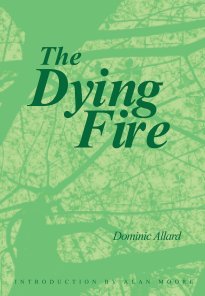 The Dying Fire book cover
