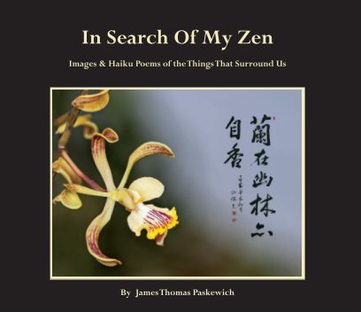 In search Of My Zen book cover