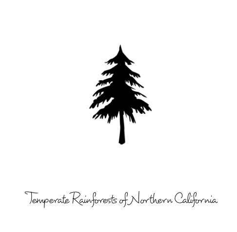 Ver Temperate Rainforest of Northern California por Dana M. Weise