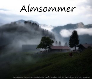 Almsommer 2013 und 2014 book cover