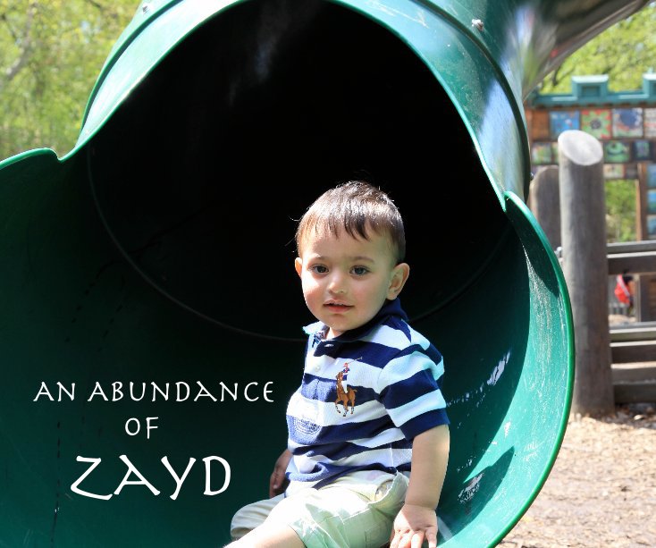 View An Abundance of Zayd by Julie Kivell