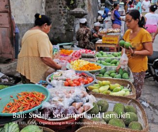 Bali: Sudaji, Sekumpul and Lemukih book cover