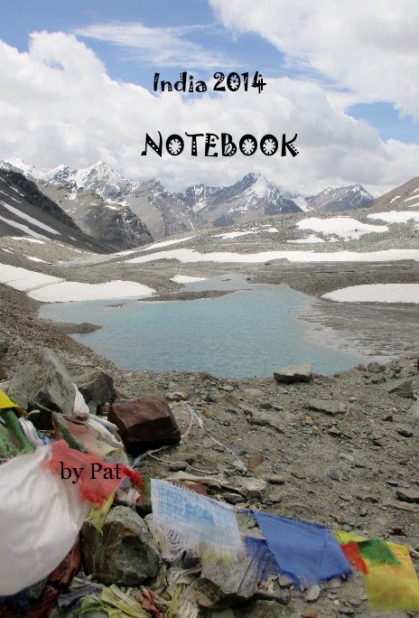 View India 2014 NOTEBOOK by Pat